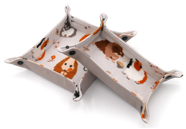 Square and eyelass sized snap trays with guinea pig on grey background print